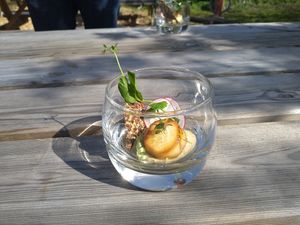  at Vegan Food Tour Utrecht in Utrecht