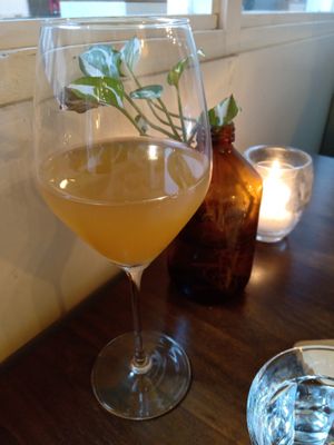 Homemade kombucha (June 2025) at First Eet in Arnhem