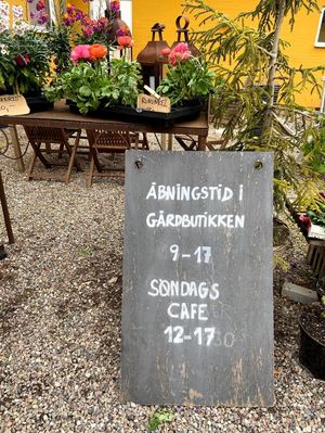 You can buy fresh vegetables and fruits at Møllehøj  in Veksoe Sjaelland