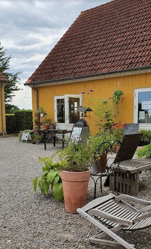 You can buy fresh vegetables and fruits at Møllehøj  in Veksoe Sjaelland