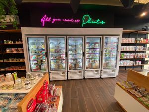 MR Tofu  at Mr. Tofu Los Cabos in Cabo San Lucas