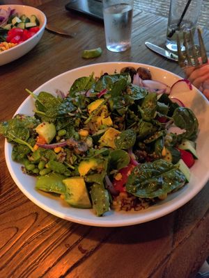Buddha bowl at Pines Public House & Eatery in Berlin