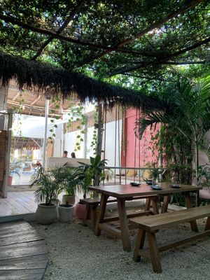   at Pizza Papi in Tulum