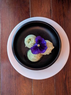 Honeydew basil sorbet at Havana in Bar Harbor