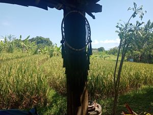  at Sayavegan in Kuta