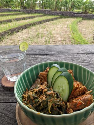 Jackfruit Rendang at Sayavegan in Kuta