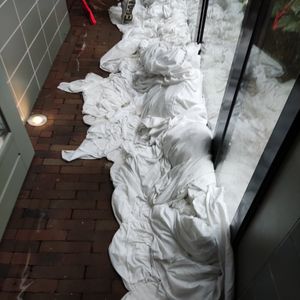  at The Green Elephant Hostel in Maastricht