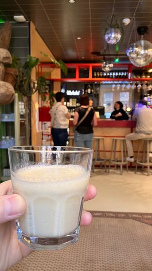 Welcome drink at The Green Elephant Hostel in Maastricht