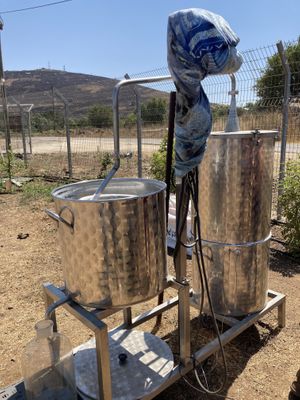 Oil is made right here next to the field  at Noviks in Shaal