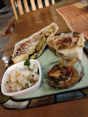 Falafel wrap at Noja in Prizren