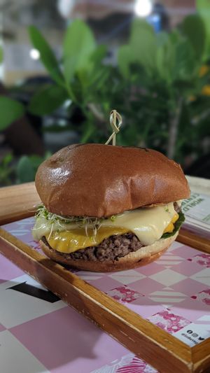 Tasty burger (provolone) at SoBe Vegan in Miami Beach