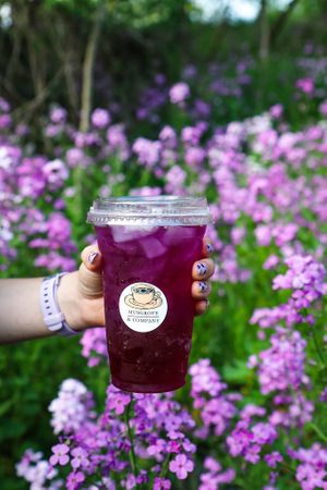  at Musgrove & Company in Jackson