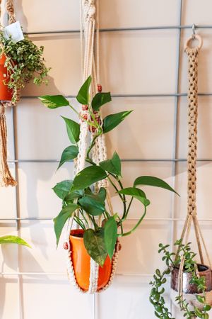  at Musgrove & Company in Tecumseh