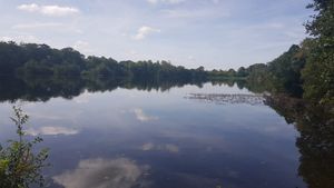 Bolam Lake at Bolam Lake Country Park in Newcastle Upon Tyne