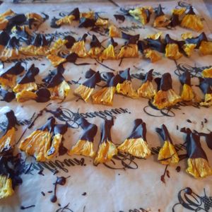 Dehydrated pineapple dipped in cacao at Cacao Magic House in San Jose