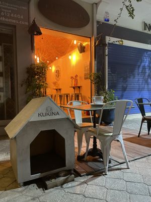 Outdoor seating for all species at Kukina Caferia in Fethiye
