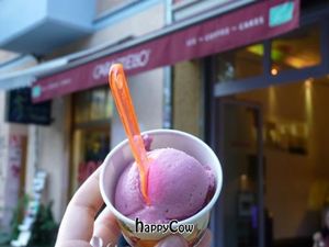Vegan cassis ice-cream at Caramello Eisdiele in Berlin