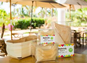 Eco-friendly party supplies at California Ranch Market in San Jose Del Cabo