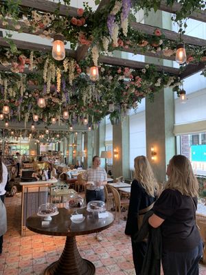 Beautiful interior   at Linnaean in South West London