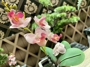 table at Pho 45 in Erfurt