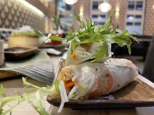 summer rolls at Pho 45 in Erfurt