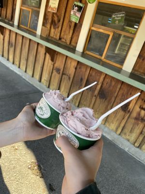   at Kimball Farm  in Westford