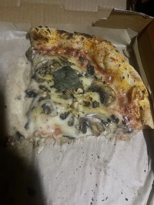 Best vegan pizza I’ve ever had   at Pizzeria Magaddino in Fort Lauderdale