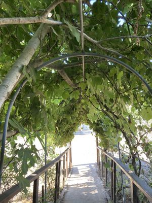 Entrance  at Odem Berries Field in Odem