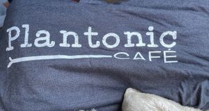 An elbow of my dog and a thin dark gray hoodies   at Plantonic Cafe in Hartford