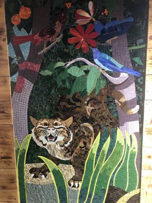 Art  at Wackoz  in Downpatrick