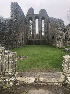 Inch abbey  at Wackoz  in Downpatrick