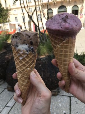 Chocolate/cookie and berry/peanut ice creams    at Veganista Ice Cream XI in Vienna