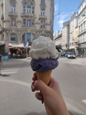 Kokos und Heidelbeer-Lavendel at Veganista Ice Cream XI in Vienna