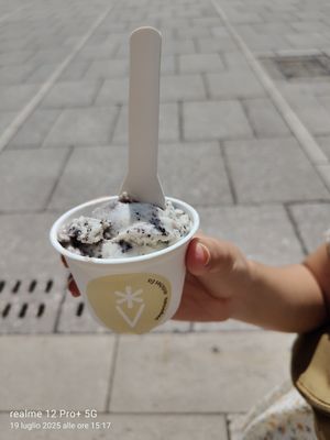 Biscuits at Veganista Ice Cream XI in Vienna