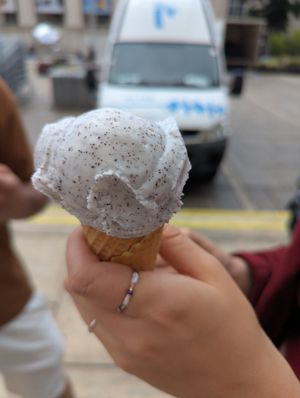  at Veganista Ice Cream XI in Vienna