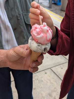  at Veganista Ice Cream XI in Vienna