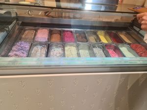 ALLLLL VEGAN 😍🤩 at Veganista Ice Cream XII in Vienna