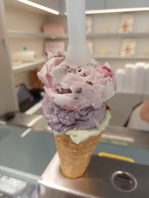  at Veganista Ice Cream XII in Vienna