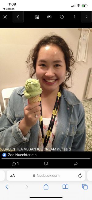   at Veganista Ice Cream XII in Vienna