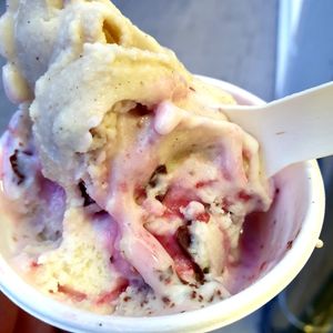 black forest and vanilla at Veganista Ice Cream XII in Vienna