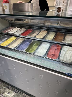 So many flavors!  at Veganista Ice Cream XII in Vienna