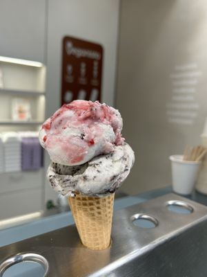 Cookie and Black Forest scoops  at Veganista Ice Cream XII in Vienna