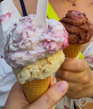  at Veganista Ice Cream XII in Vienna