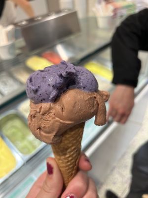 lavender (top) and chocolate (bottom)  at Veganista Ice Cream XII in Vienna