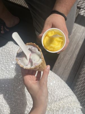 black forest x orange   at Veganista Ice Cream XII in Vienna