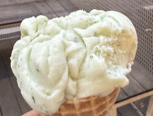 Basil ice creamm  at Veganista Ice Cream XII in Vienna