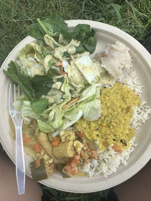 Lentil stew, tofu curry w/ veggies, salad and almond dressing, rice and pineapple dessert    at Krishna Lunch in Gainesville