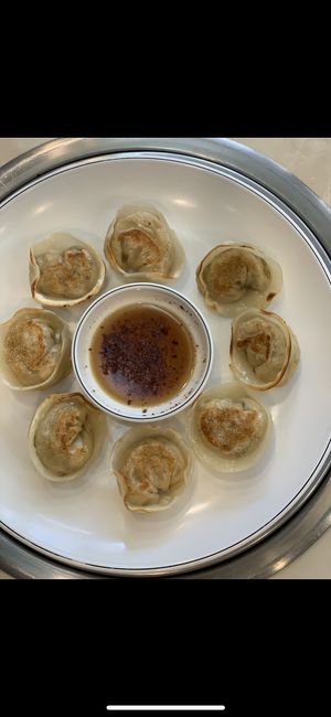 Fried Dumplings! sauce is delicious!  at Loving Hut - GoJan in Ansan