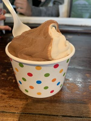 Vegan chocolate vanilla twist  at Port Jefferson Ice Cream Cafe in Port Jefferson