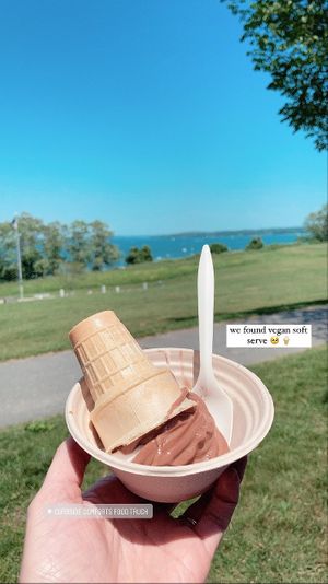 vegan chocolate vanilla swirl soft serve 🍦  #Veganuary at Curbside Comforts in Gorham